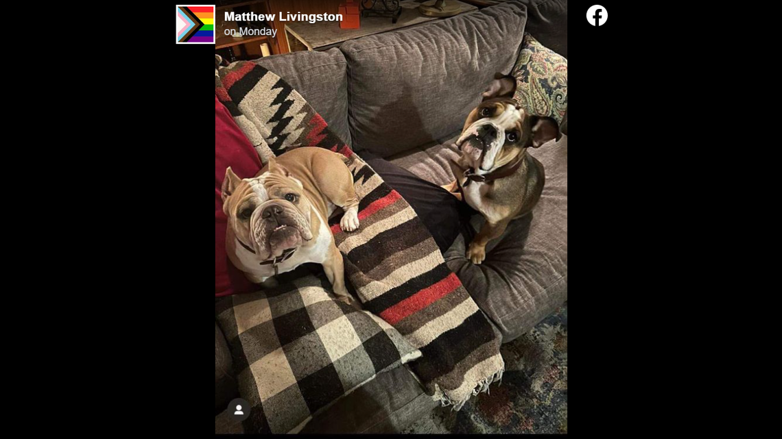 Two bulldogs, Scotch and Stogie, were stolen at gunpoint from a dog sitter in Atlanta, police said. One dog has been found as the owners continue searching for the other.
