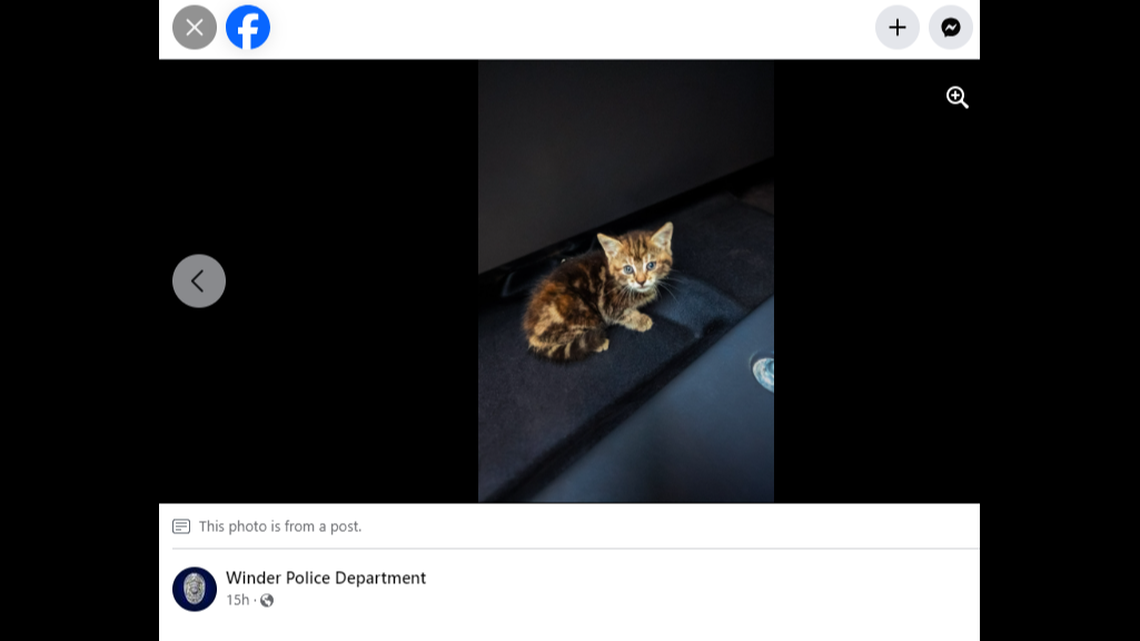 The kitten got a second chance after being saved from a Georgia storm drain, officials said.