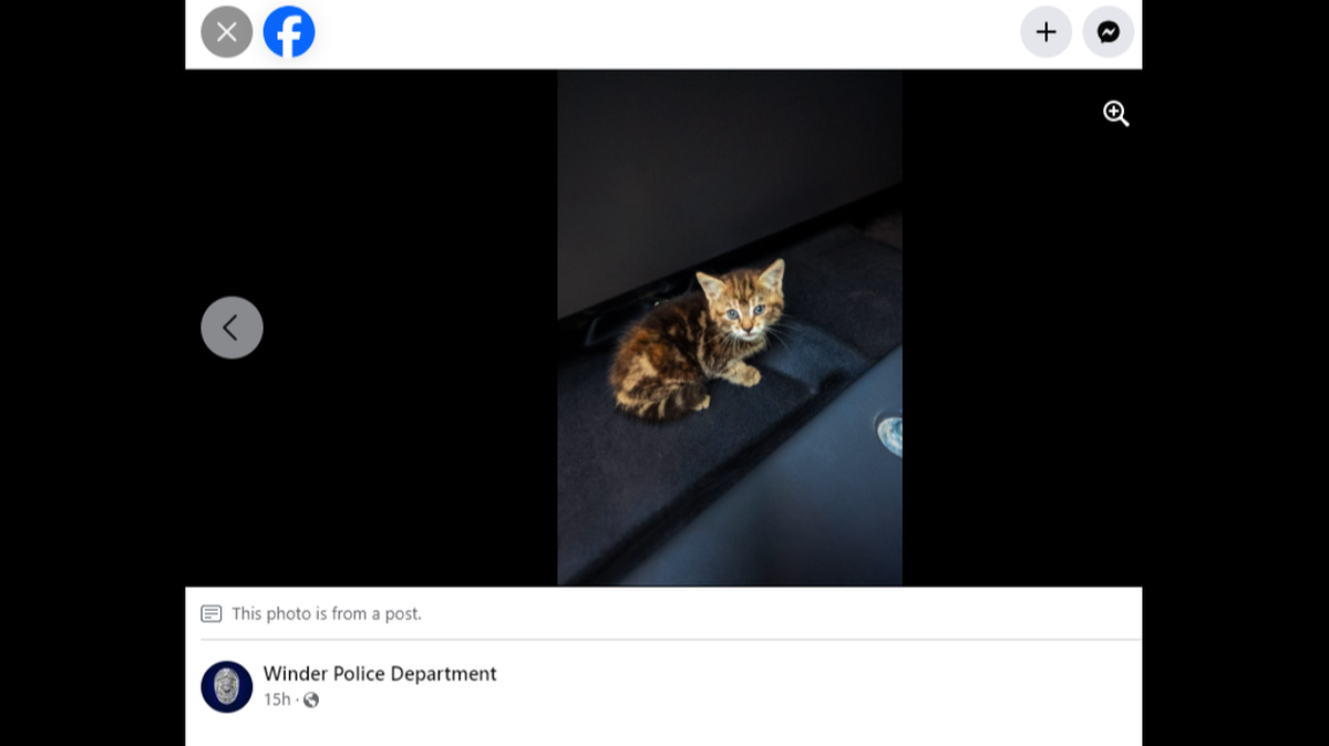 The kitten got a second chance after being saved from a Georgia storm drain, officials said.