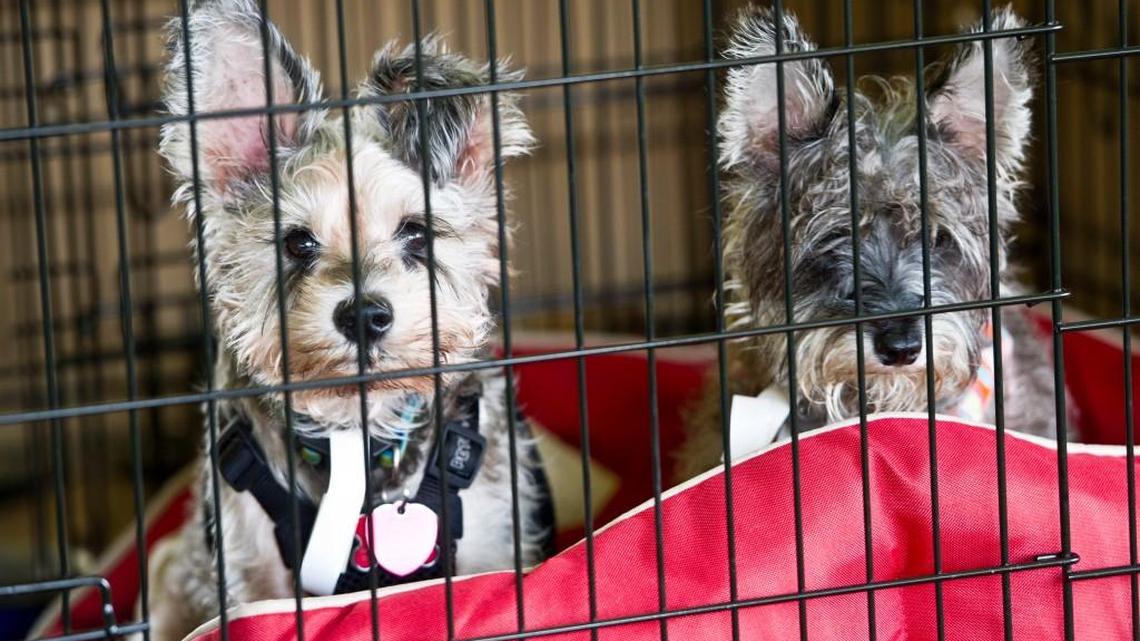 Yes, Houston County, you have a problem