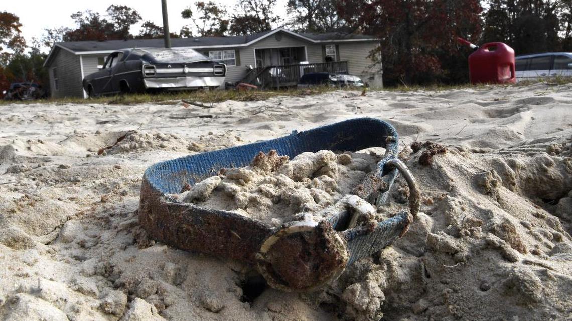 This is Viewpoints for Sunday, December 10, 2017