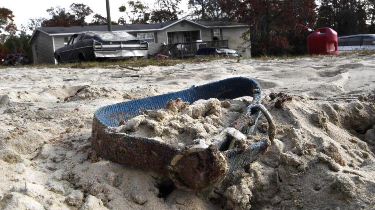 A blood-stained collar worn by Nate Goodwin’s dog Big Boy lies near the spot where Goodwin decapitated the animal Friday. Big Boy was shot by a Crawford County sheriff’s deputy after the dog lunged at him. The deputy had been called to the the neighborhood to investigate a report of a person bit by a dog.