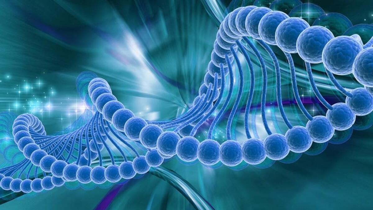 Digitized strand of DNA.