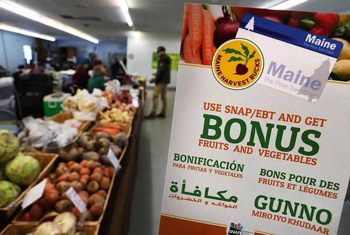Food participants get an average of $125 a month, hardly enough to feed a family without earning money as well.