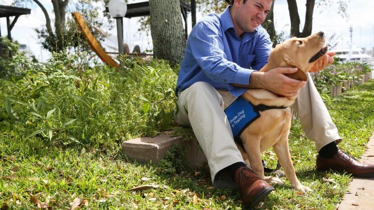 Anthony Loffler, a senior at USF St. Petersburg poses for a portrait with Jennings, the dog he works with as a puppy raiser on the USF St. Petersburg campus in St. Petersburg on Tuesday, March 7, 2017.