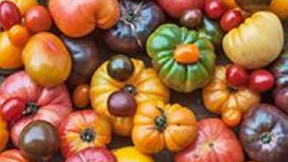 Making local and nutritional choices affordable for all of Georgia’s families