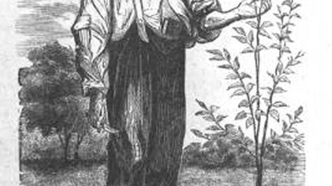 Planting the seeds in 2017 of patience, reflection and values assessment