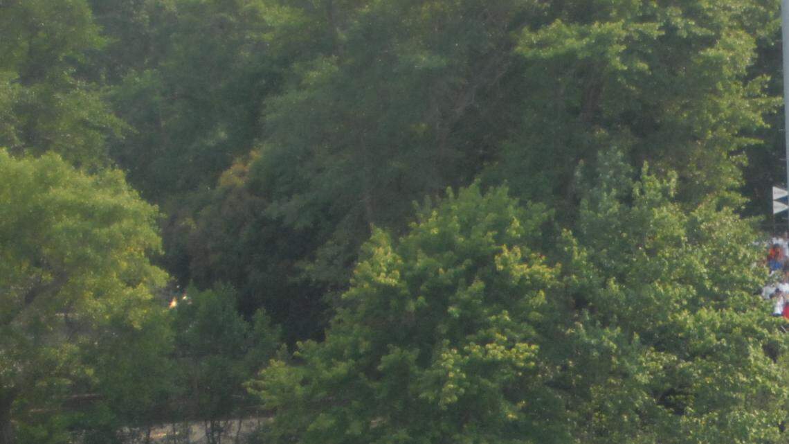 A sport UGA is eyeing a potential upgrade to facilities at