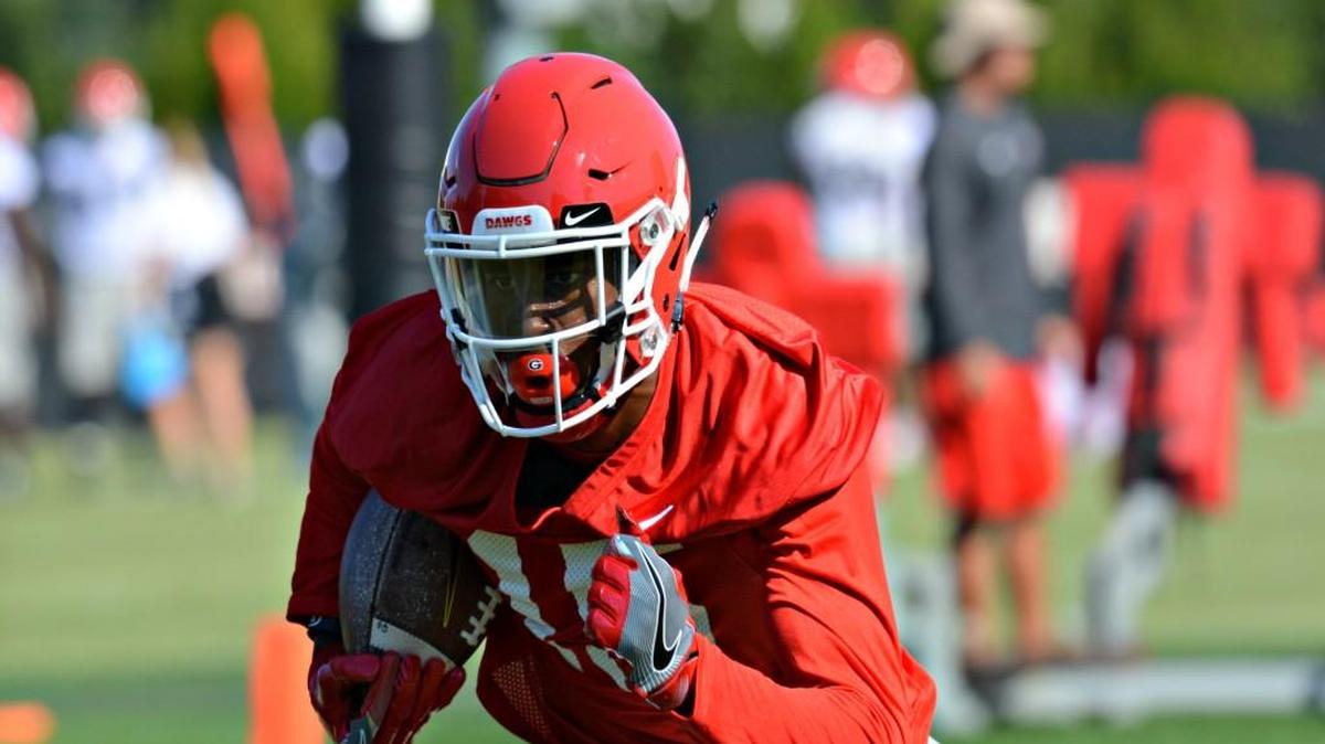 Georgia receiver Matt Landers.