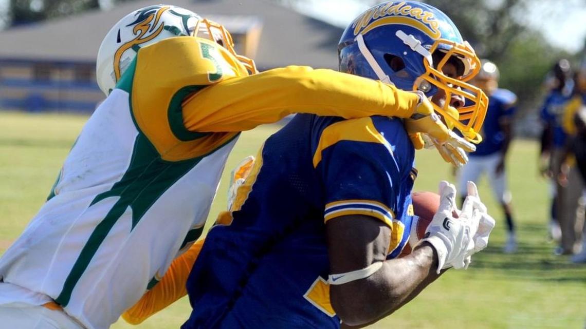 Fort Valley State receiver Otis Brown (10) hauls in a touchdown pass from quarterback Demontay Jones (7) during the Wildcats game against Kentucky State on Saturday.