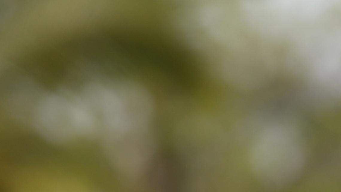 Kevin Kisner's first Masters continues after tremendous putt on No. 18